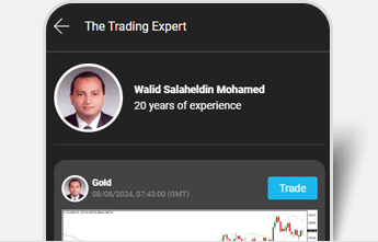 The Trading Expert